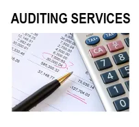 auditing services